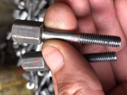 ���������������ר����˿